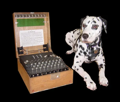 Enigma otis no bg